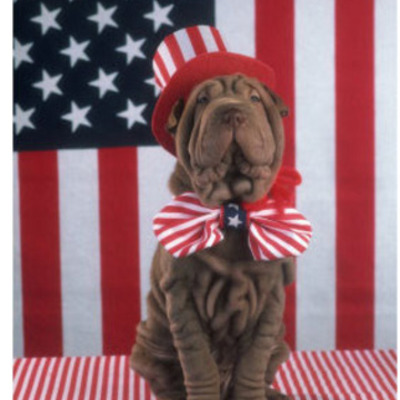 Timeline: GOPO Timeline