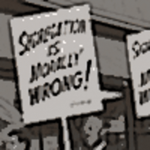 Ch18 section5 Divided Opinions