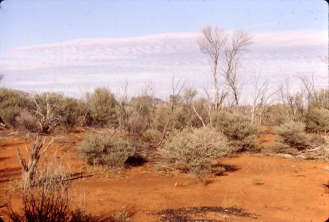 The Great Victoria Desert