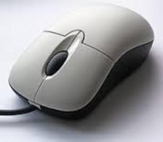 Computer Mouse