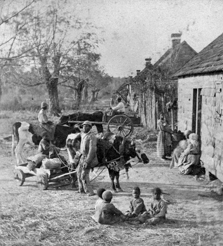 Jane Moves to a New Plantation