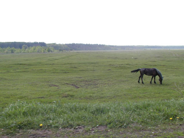 Строительство железнодорожной ветки