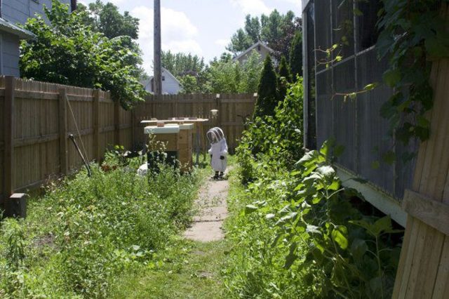 Ahora, el niño al ataque