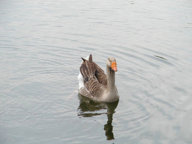Телеграфно¬почтовое отделение в Вернадовке