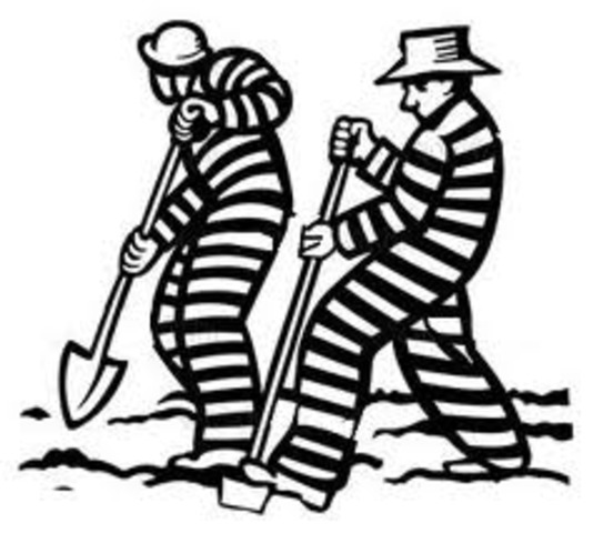 United Provinces of Gangs