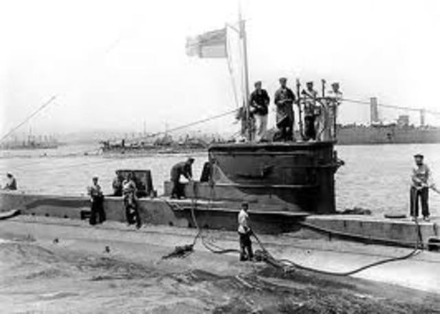 Settling In Australia