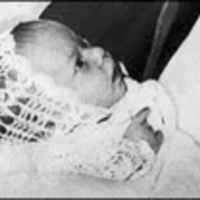 Timeline: A dingo took my baby