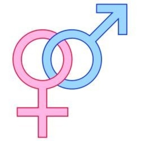 Con Respecto A Los Sexoa, Al Menos Hasta Este Año No Se Presentaron Diferencias Significatovas En La Afiliacion.