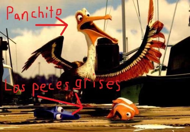 Panchito, el protector del peces