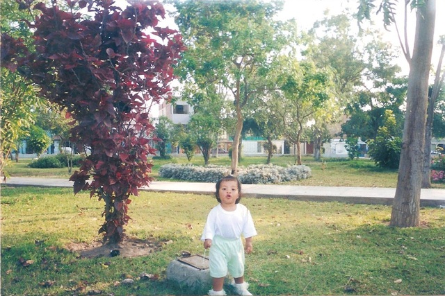 Mis primeras palabras y gestos