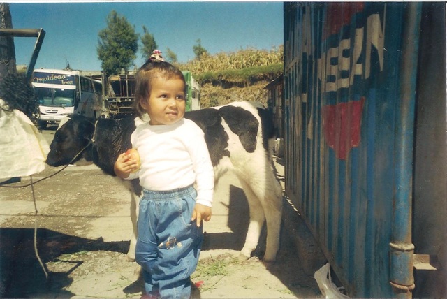 Mi prmera vez con una vaca