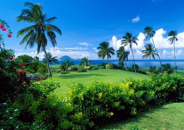 Live on my own Tropical Island