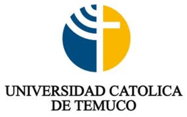 Creación del Cronograma.