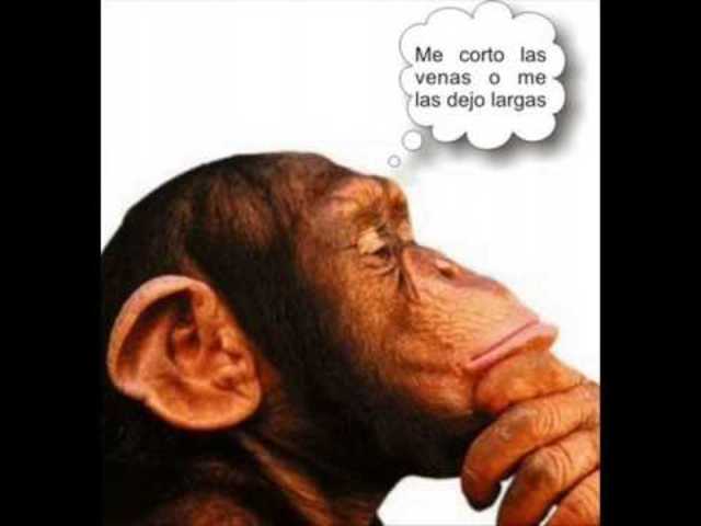 Funciones de la Evaluación  Díaz Barriga