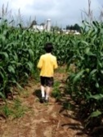 Panchito y el costal