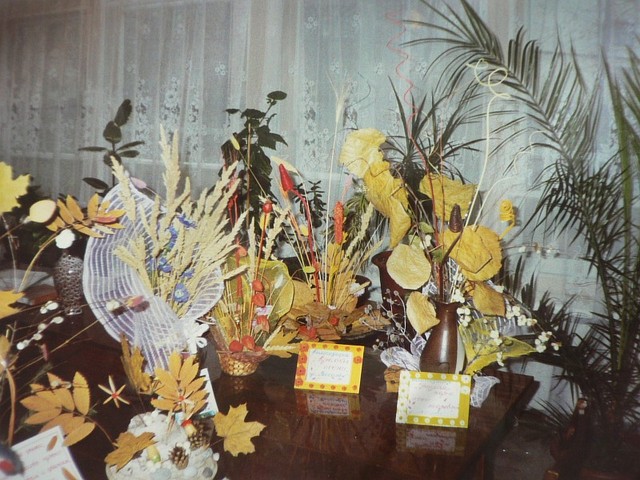 В дошкольном учреждении организовываются смотры-конкурсы по физкультурно-оздоровительной работе, по экологическому воспитанию, на лучшую предметно – развивающую среду, на лучший осенний букет. Воспитатели проявляют творчество, инициативу.