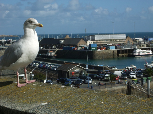 St. Peter Port, Guernsey
