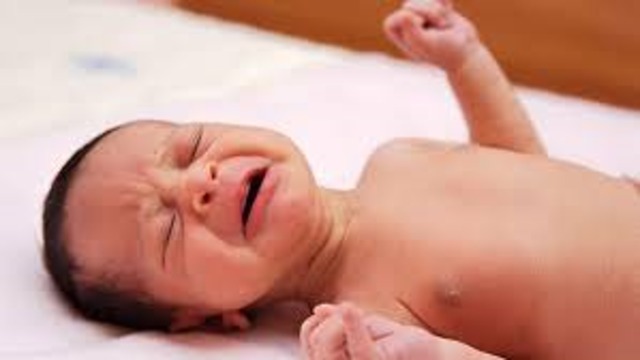 Los problemas con Torito