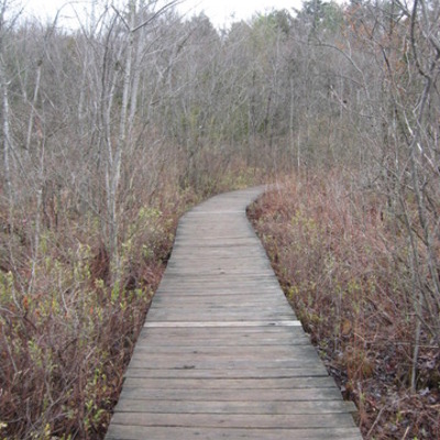 Timeline: Emancipation and Human Rights in Central New York