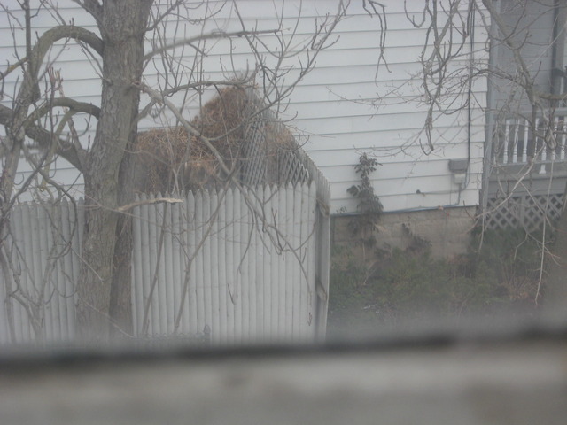 Gege home becomes UR station