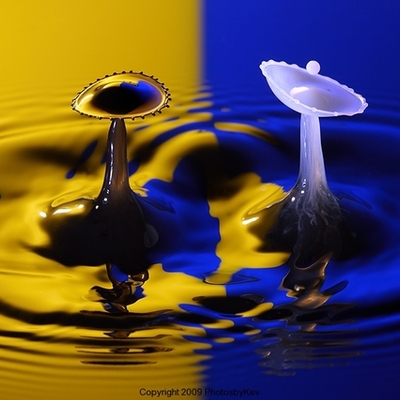 Timeline: motion pictures