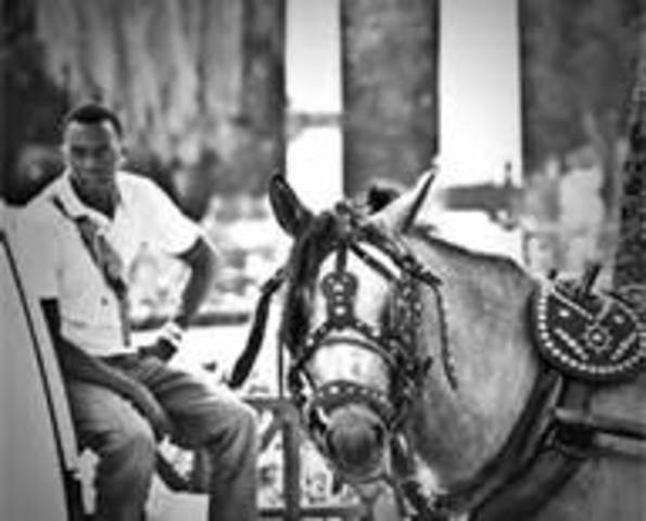 Death of Joe Pittman