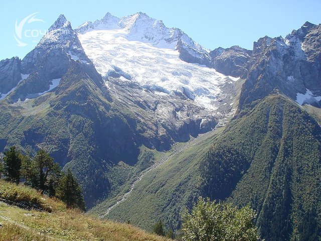 Поездка на Кавказ в Гори для работ на виноградниках