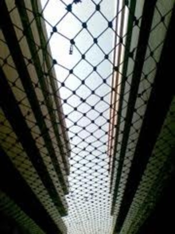 Foxconn suicides- January and November 2010