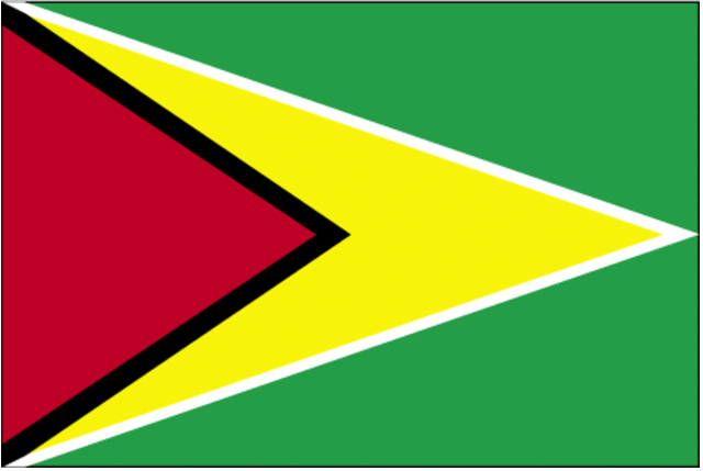 Guerra de Independencia de Guyana