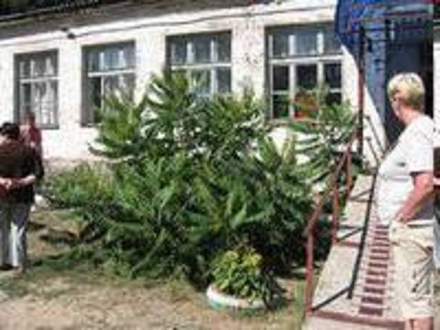 Территориальный центр оказания помощи семье и детям "Семья"