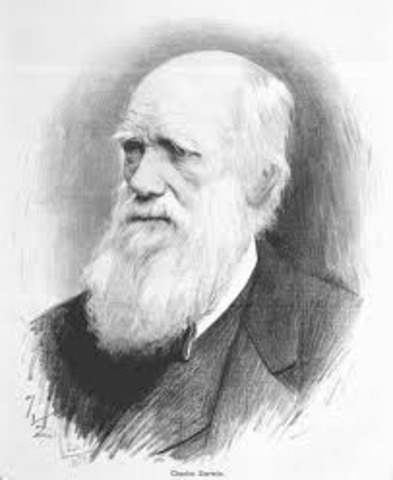 Darwin's Theory on Evolution