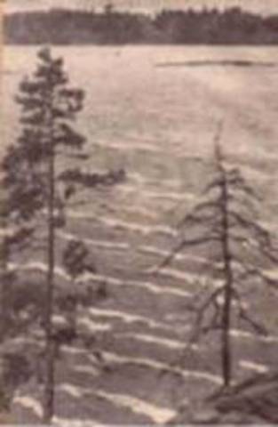 Отправился записывать фольклор