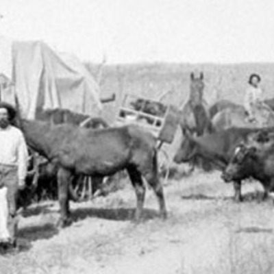 Timeline: Homesteading Timeline