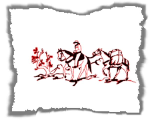 Back Country Horsemen of America