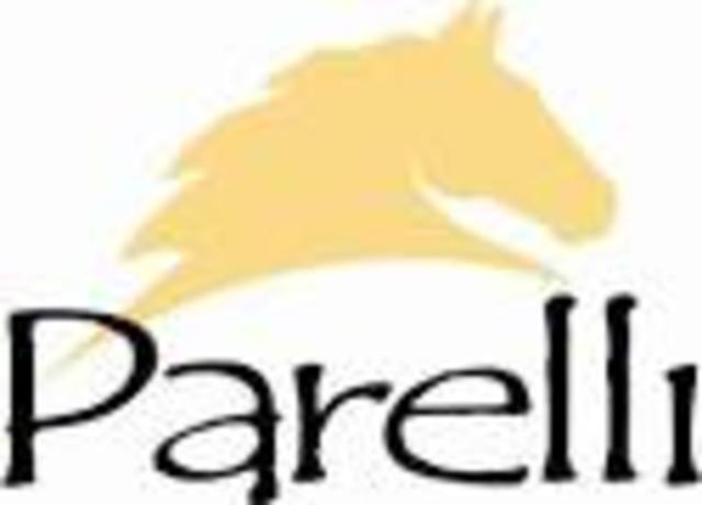 Parelli program of natural horsemanship