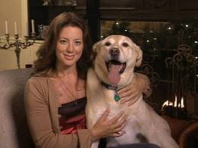 Creation of the ASPCA