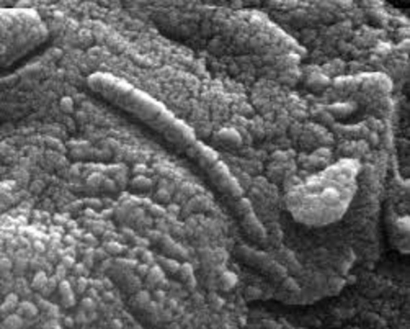 Oldest chemical evidence of life