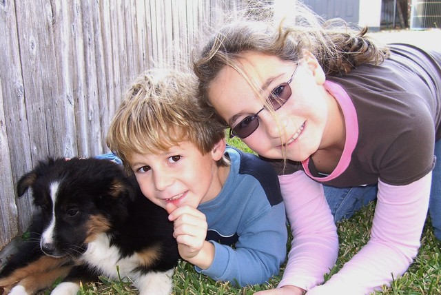 recibí mi perro, Zoey, en dos mil y ocho