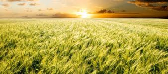 Piety becomes a land owner in Louisiana.