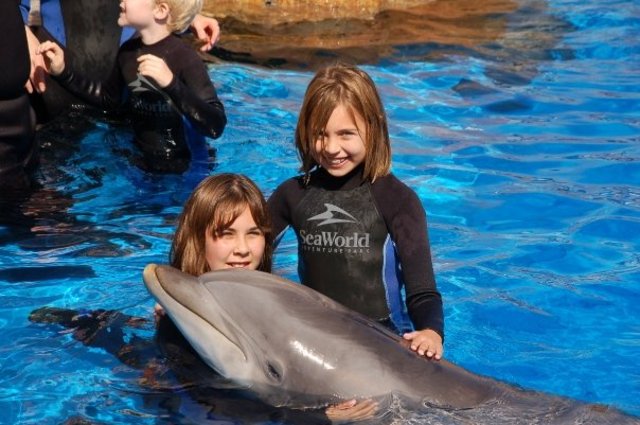 My sister and I swam with the dolphins at Sea World