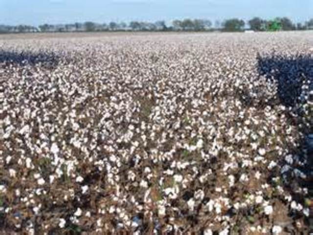 The south issues currancy