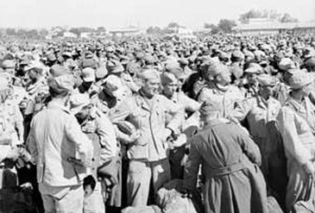 Surrender of axis forces in North Africa