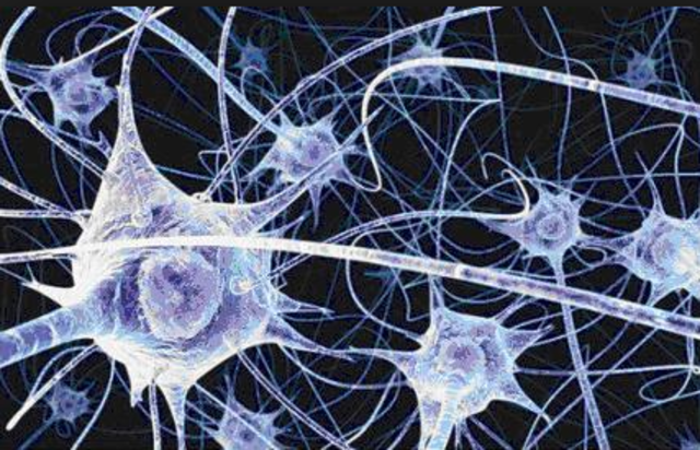 Mc Cullonch and Pitts