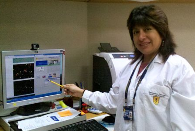 Sistemas expertos que se comercializan