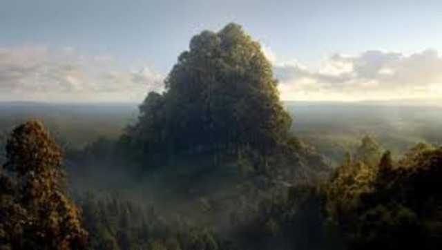 Book:2 Chapter:7 Caras Galadon