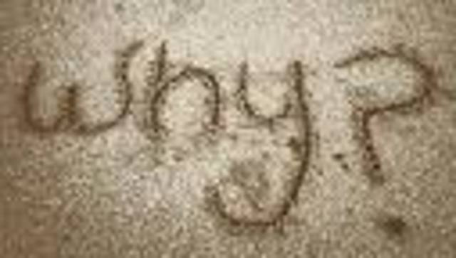 Why did the trade begin?and why africans?