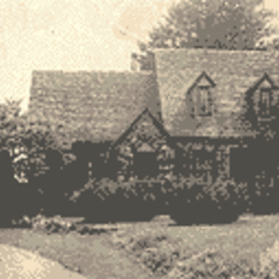 Timeline: Patricia Pollacco was born in Lansing, Michigan in 1944.