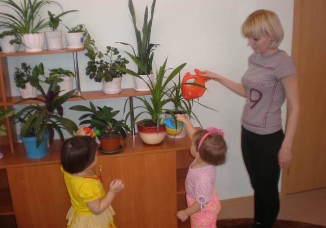 22 ноября 2012г. в ДОУ открыта группа для детей с 2 до 3 лет.