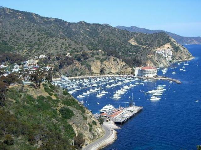 Catalina Island Snorkeling