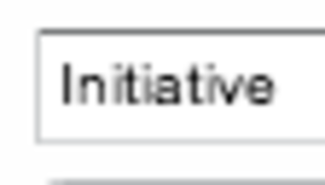 Initiative